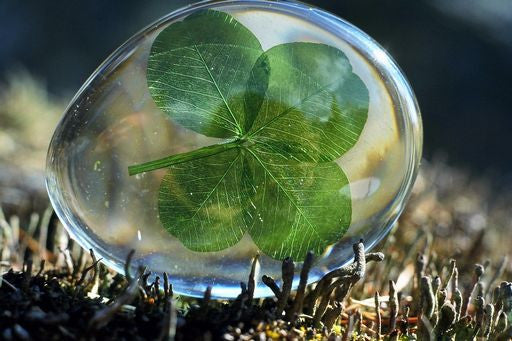 Four-leaf Clover Lucky Object