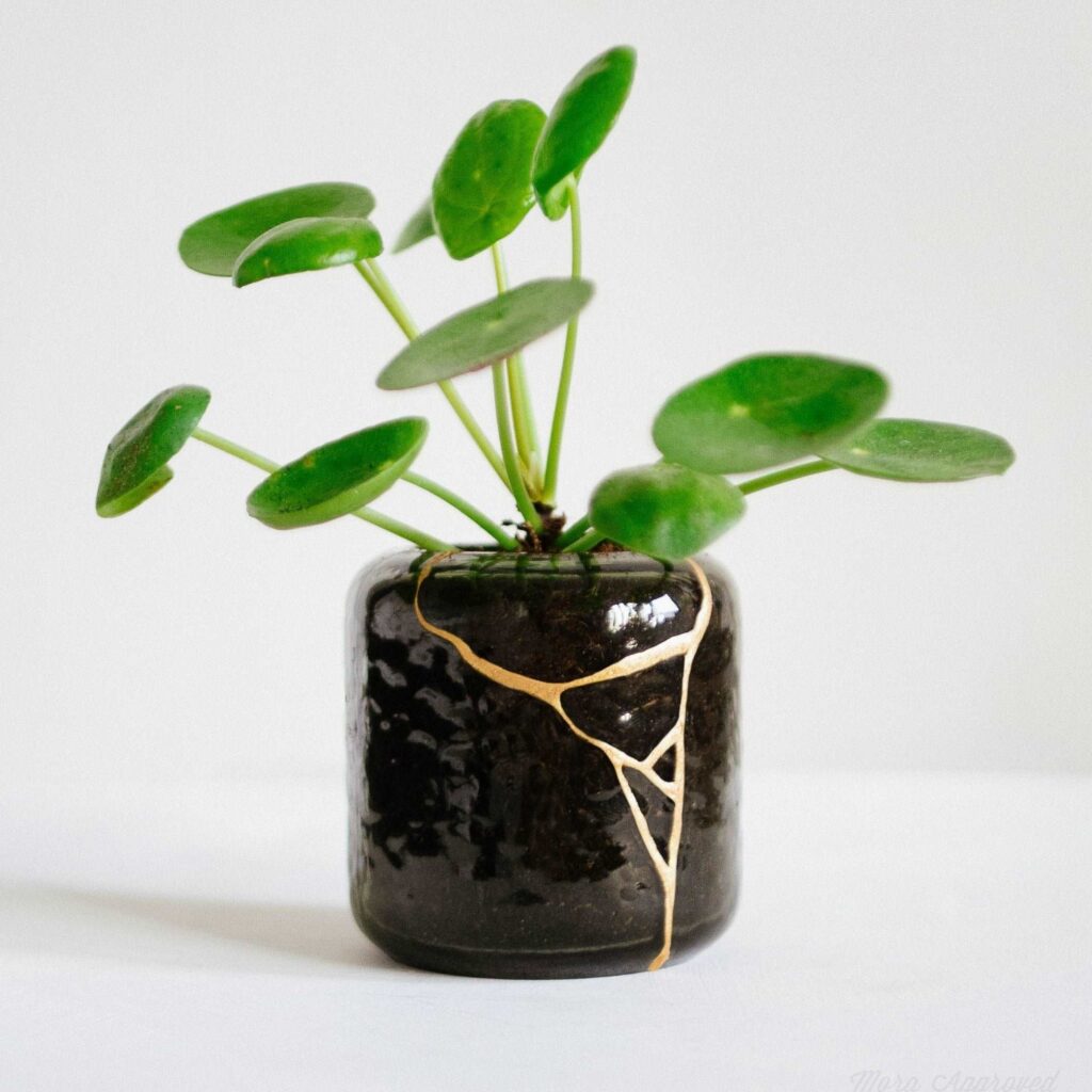 DIY Kintsugi Kit