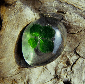 Four-leaf Clover Lucky Object