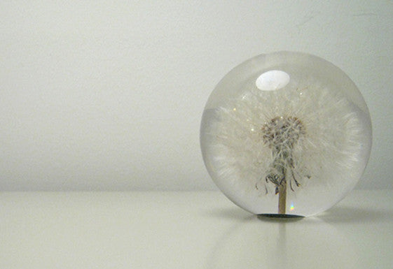 Dandelion Paperweight