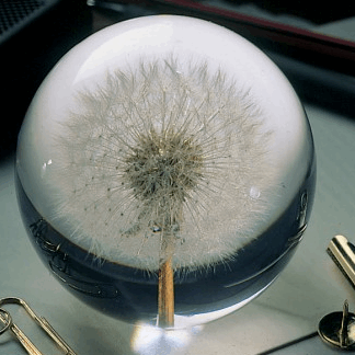 Dandelion Paperweight